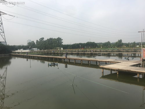 優魚科技 科技助力水產養殖，引領傳統養殖模式轉型升級