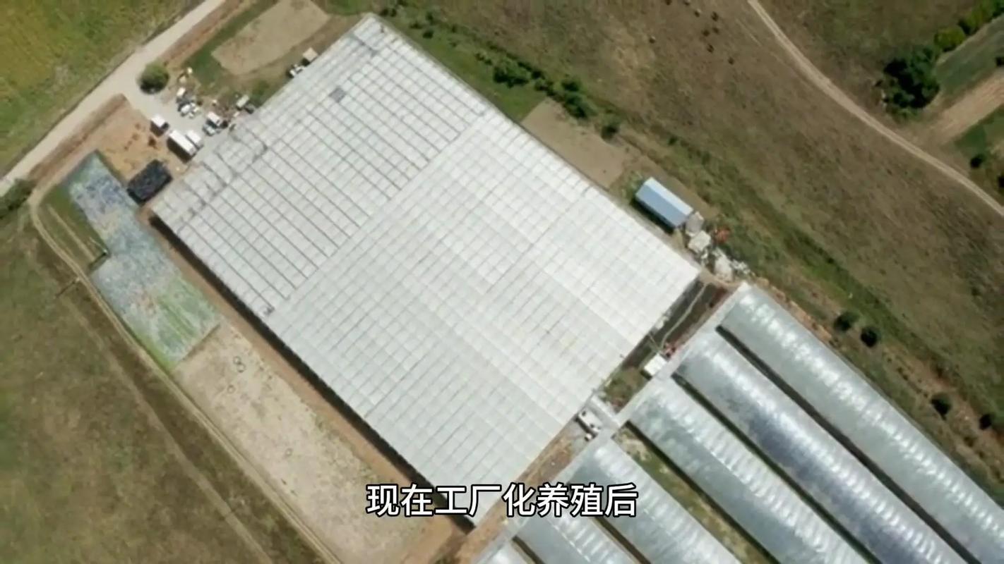 溫州首個黔羽智慧水產(chǎn)養(yǎng)殖基地建成投用，蒼南開啟水產(chǎn)養(yǎng)殖新篇章