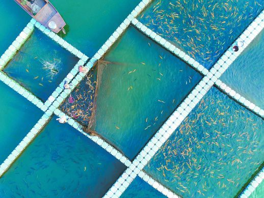 資興 冷水魚養(yǎng)殖富民 水產(chǎn)養(yǎng)殖譜新篇