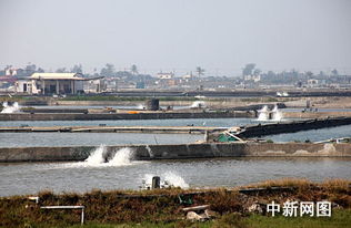 臺(tái)灣屏東縣朝清水產(chǎn)養(yǎng)殖集團(tuán)漁場掠影 探尋現(xiàn)代水產(chǎn)養(yǎng)殖的卓越典范